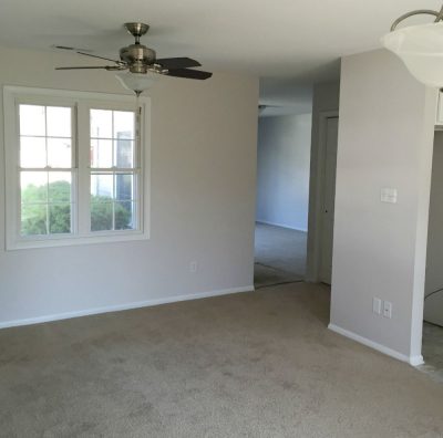 Mold-After